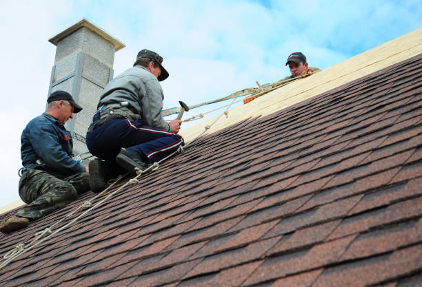 Best Roof Gutter Cleaning  in Weedsport, NY